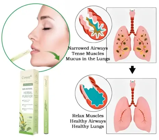 ๐๐ฎ๐ฅ๐ฅ๐๐ข๐ง ๐๐๐ซ๐๐๐ฅ ๐๐ฎ๐ง๐ ๐๐ฎ๐ซ๐ข๐๐ข๐๐ซ