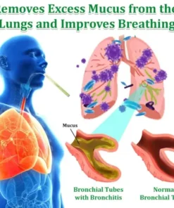 ๐๐ฎ๐ฅ๐ฅ๐๐ข๐ง ๐๐๐ซ๐๐๐ฅ ๐๐ฎ๐ง๐ ๐๐ฎ๐ซ๐ข๐๐ข๐๐ซ