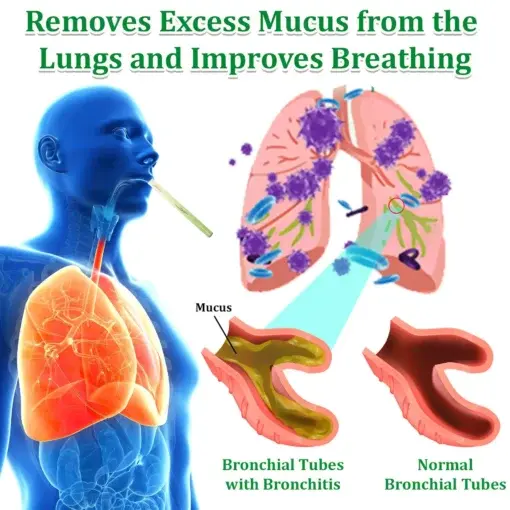 ๐๐ฎ๐ฅ๐ฅ๐๐ข๐ง ๐๐๐ซ๐๐๐ฅ ๐๐ฎ๐ง๐ ๐๐ฎ๐ซ๐ข๐๐ข๐๐ซ