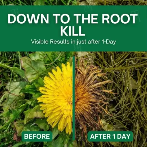 3 in 1 Max Power Herbicide