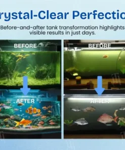 Aquariums Aqua-Guardian Blend