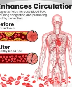 Copper Mag Prostate Therapy Ring