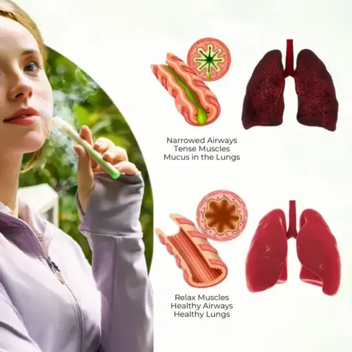 HerbaAir Mullein Lung Purifier