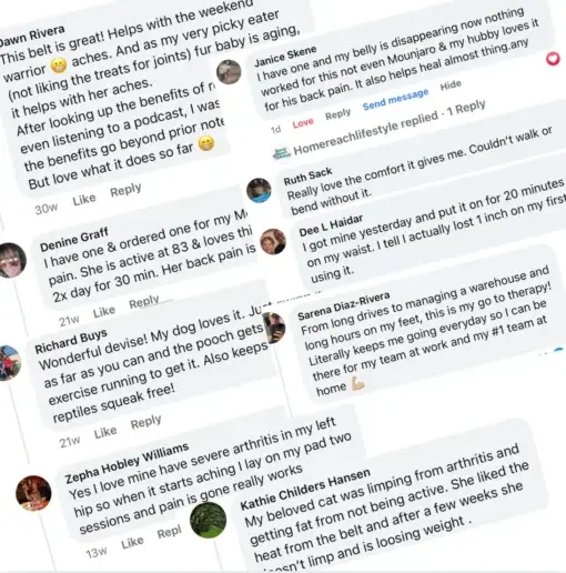 Light 360 – Pain Relief & Slimming Belt