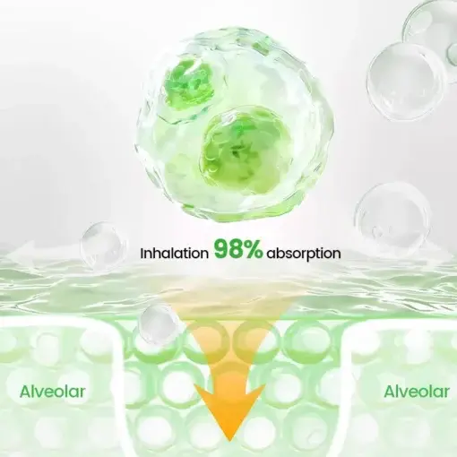 Pulmovia Quercetin Lung Detox Inhaler